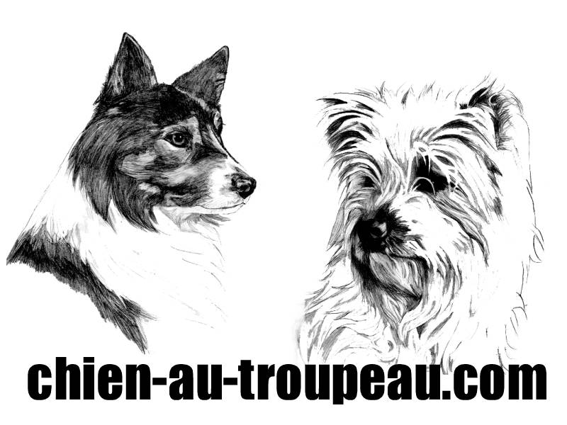 Logo_Lask_Louck_fonce_M